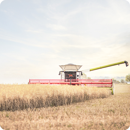 Agriculture